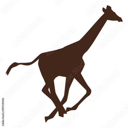 Giraffe neck tall long tail run silhouette