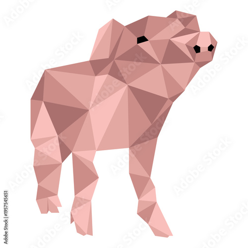 Pig ear snout hoof low poly