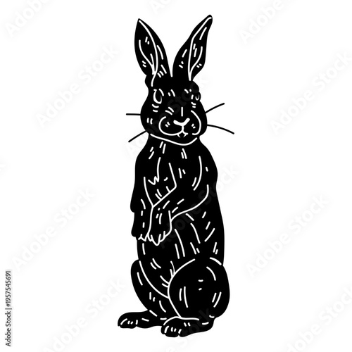 Rabbit ear bunny muzzle silhouette detail