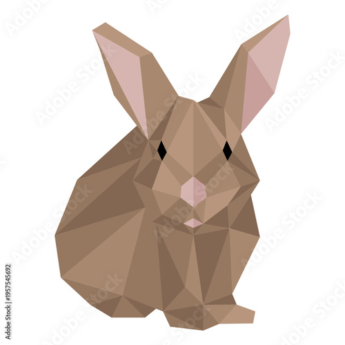Rabbit muzzle bunny ear low poly