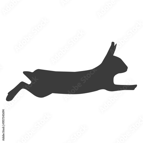 Rabbit bunny muzzle ear silhouette