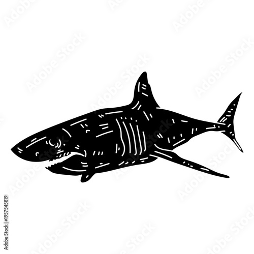 Shark fin tail tooth silhouette detail