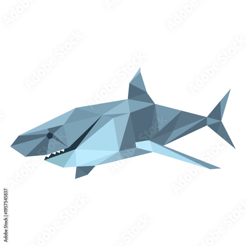Shark tail fin tooth low poly