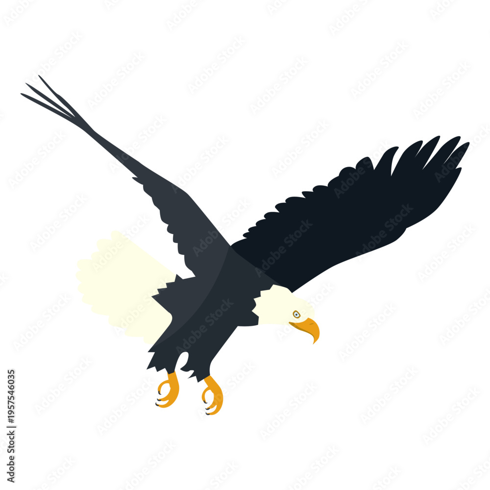 Fototapeta premium Bald eagle diving flat