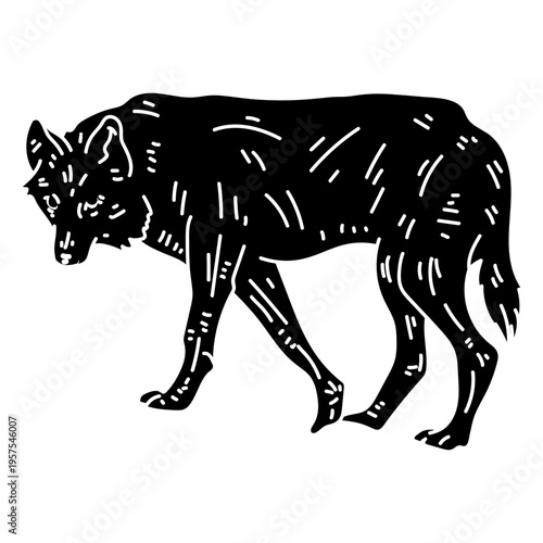 Wolf predator tail silhouette detail