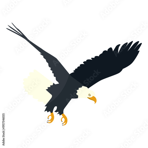 Bald eagle diving flat