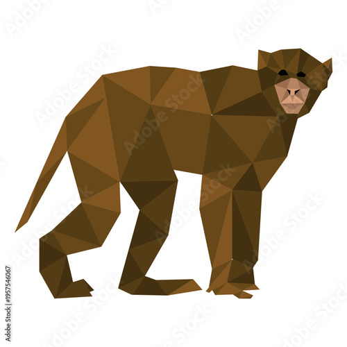 Capuchin monkey walking lowpoly