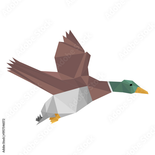Duck flying lowpoly