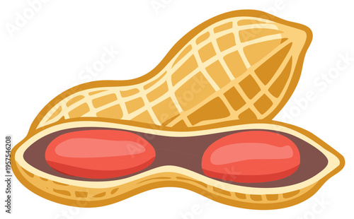 Illustration of a peanut in its shell with two peanuts inside ripe and ready to eat
