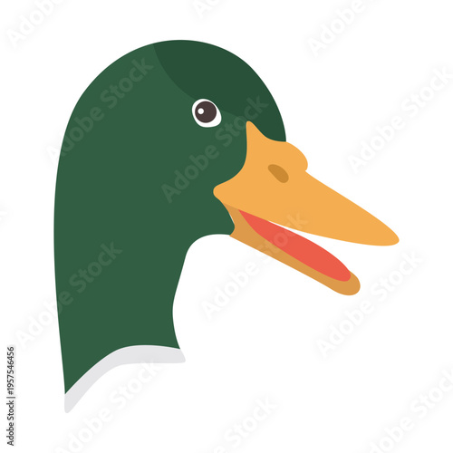 Drake duck wild duck beak head flat sticker