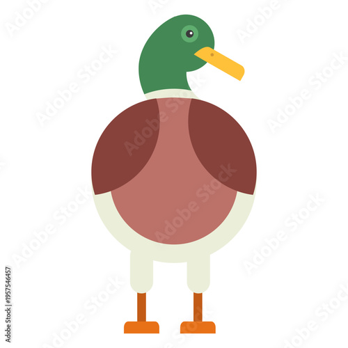 Drake duck wild duck beak flat rounded geometric