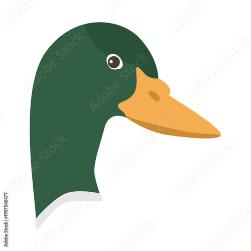 Duck drake wild duck beak head flat sticker