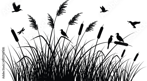 Black silhouette vector illustration of cattails, reeds, and birds flying and perched in a wetland environment