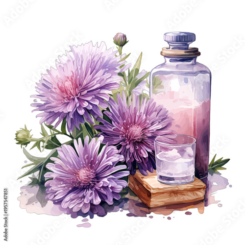 Watercolor purple aster essential oil bottle and flowers illustration