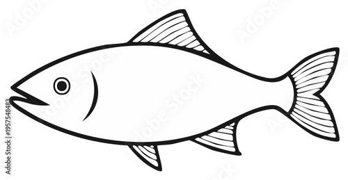 Fish Outline Simple Black and White Illustration Swimming Marine Life Ocean Animals Aquatic Species