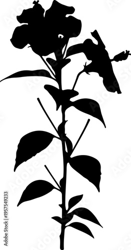 Minimalist black silhouette illustration of a graceful flowering plant, perfect for modern botanical themed designs and elegant branding