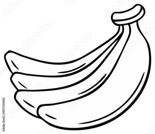 Black and white illustration of ripe bananas hanging together