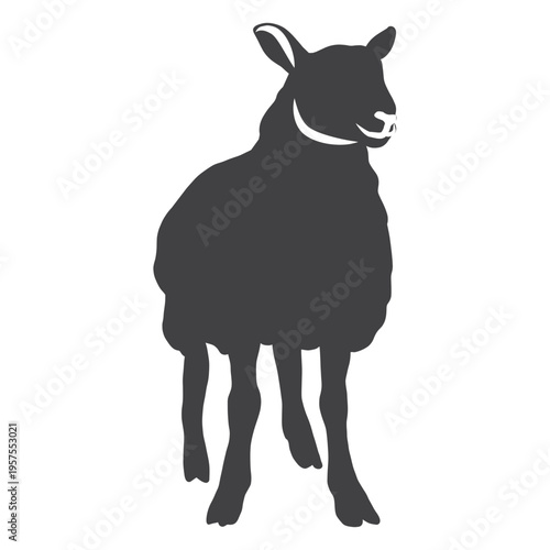 Lamb sheep wool hoof silhouette