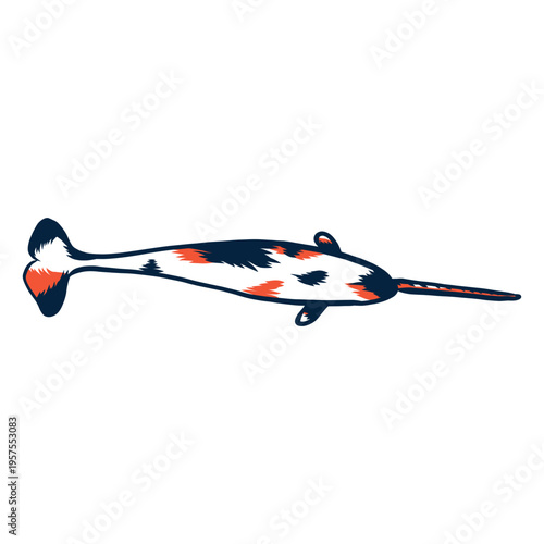 Narwhal flipper tail tusk stroke duotone