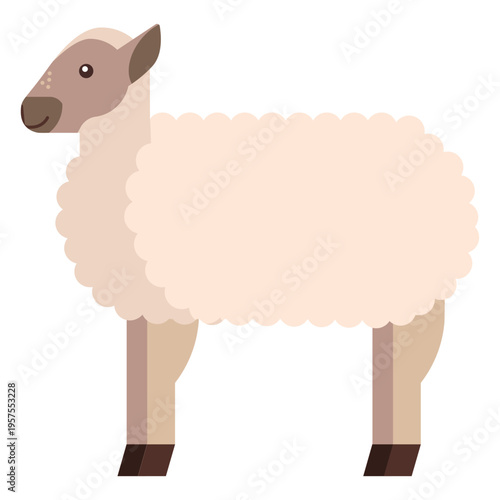 Sheep wool lamb hoof flat rounded geometric