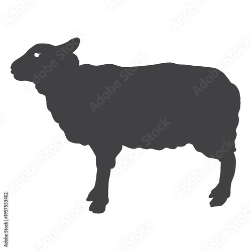 Wool sheep lamb hoof silhouette