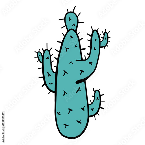 Cactus thorn color colour sketch