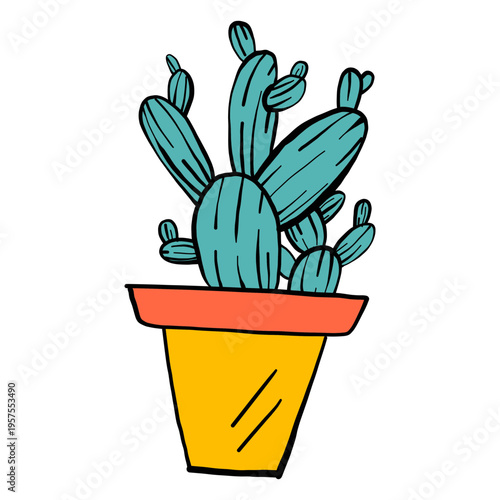 Cactus pot thorn color colour sketch