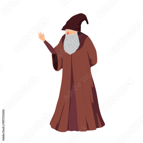 Elder bearded man beard robe hat wizzard illustration