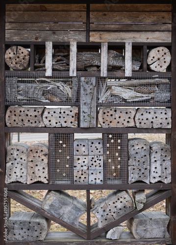 pattern wall wooden texture detail