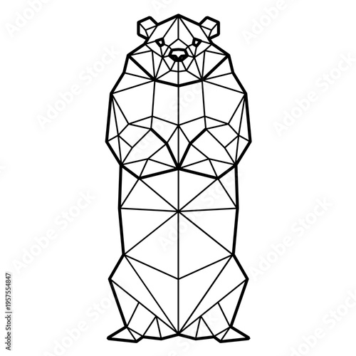 Groundhog standing polygonal
