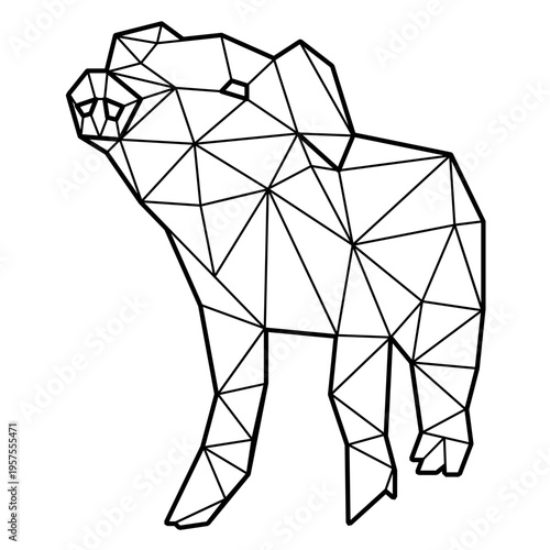 Pig looking up polygonal