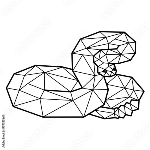 Rattlesnake polygonal