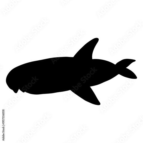 Whale cachalot flipper tail giant silhouette