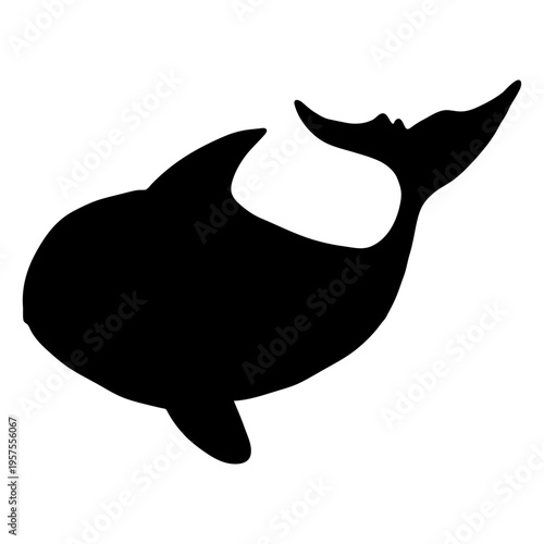Whale flipper tail giant silhouette
