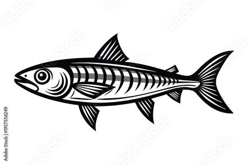 sardine silhouette line art vector illustration