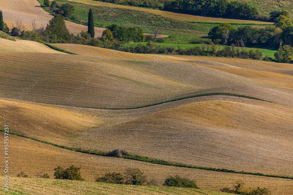 Fototapeta premium Rolling cultivated hills of Tuscany in autumn, Italy.
