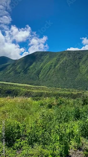 Green Mountains and Meadows of the Ecuadorian Andes (Guayllabamba, Ecuador)