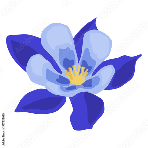 Aquilegia flower stem bud petal flat