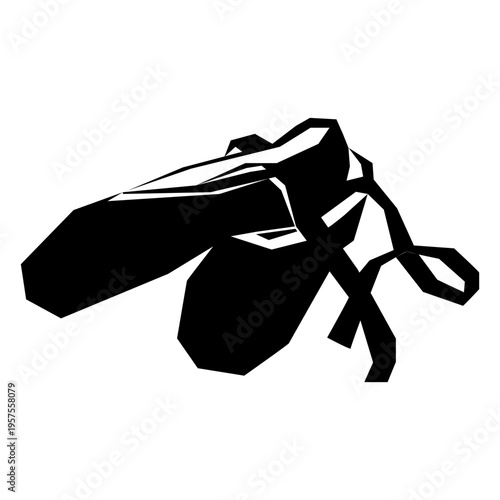 Ballet pointe shoe ribbon silhouette