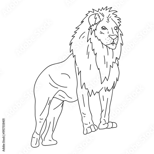 Lion king roar mane stroke