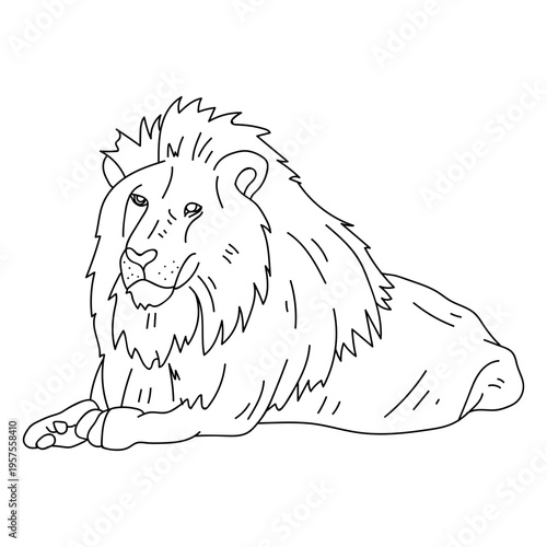 Lion lying king roar mane stroke