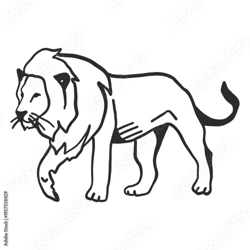 Lion mane king tail doodle