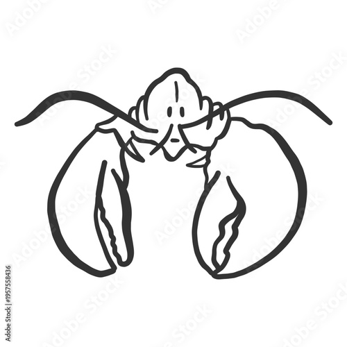 Lobster antenna claw doodle