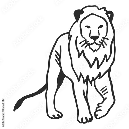 Lion tail king mane doodle