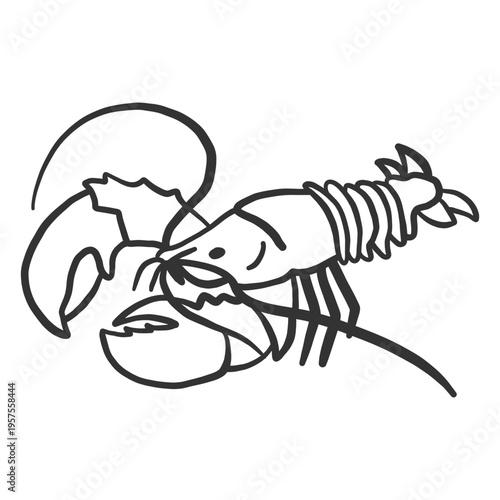 Lobster antenna claw tail doodle