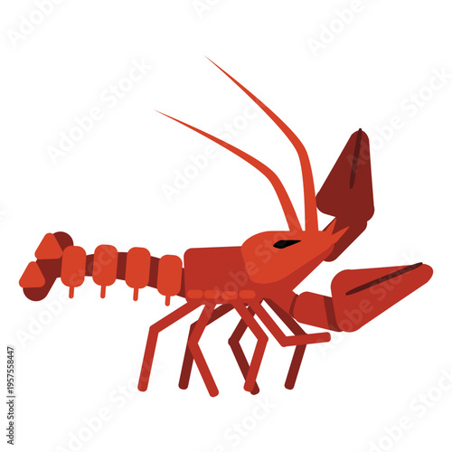Lobster antenna claw tail rounded flat