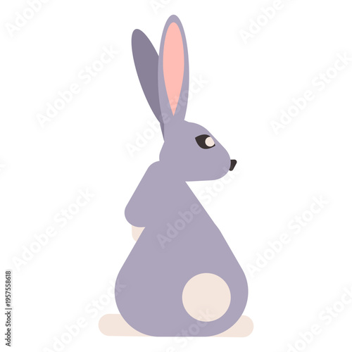 Rabbit bunny muzzle tail ear rounded flat