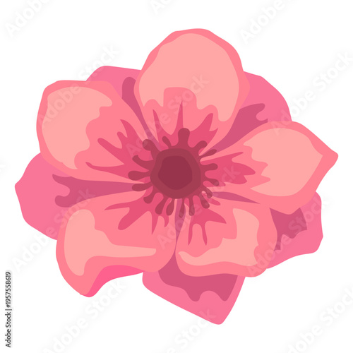 Poppy flower bud petal flat