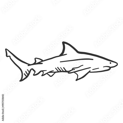 Shark fin tail doodle