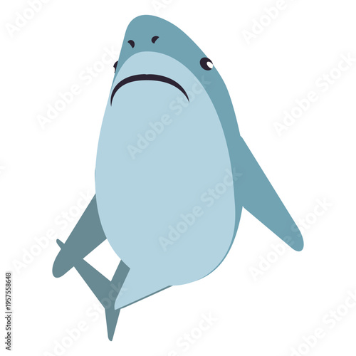 Shark jaw flipper tail rounded flat